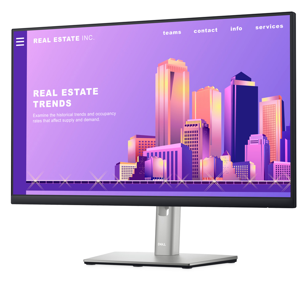 Dell P2422H – 24-inch FHD Monitor