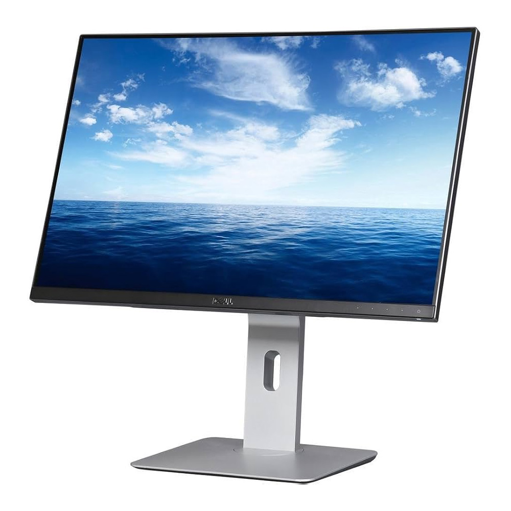 DELL U2415